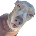bruhe emote