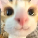 3 emoji