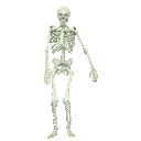 SkeletonPls2 emote
