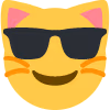 swag_cat emote