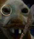 xddbriish2 emote