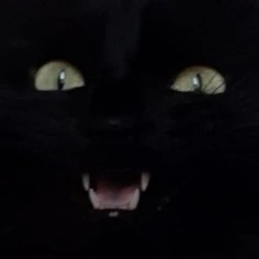 bunnyu emote