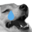 dogekekcry2 emote