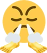 triumph_feet emote