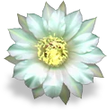 flower_mint emote