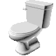 Spinning_Toilet emote