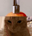 Brainrot emote