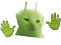 lorplorp animated emote