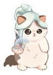 catjett emote