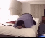 FlatsTwerk emote
