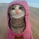 CE_sadcat3 emoji