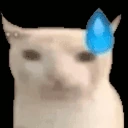 vanish emote