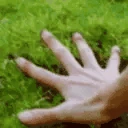 TouchSomeGrass emote