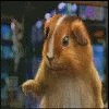 kungfu emote