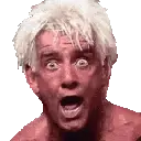 FlairWoo emote