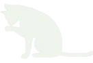 Whitekitten emote