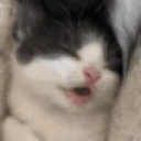 eepy emote