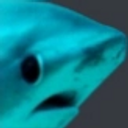 sharkgasp static emote