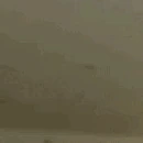RaiseHand emote