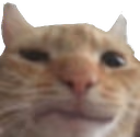 confused emote