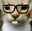 nerd emote