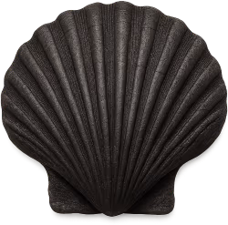 Blackseashell emote