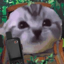 lost emote