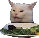 WomanYellingAtCat emote
