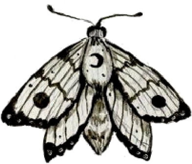 moth emote