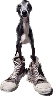 dawgy emote
