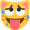 aheago_cat emote