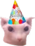 bingusbirthday emote