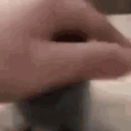 Cat_Pet emote