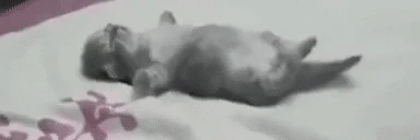 sleeper emote