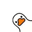 spin_ducky emote