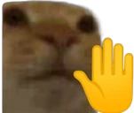 Halt emote