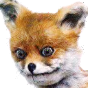 stonedfox emote