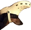 CaptainDoggo emote