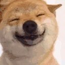 ShibaHappy emote