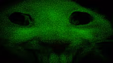 xddfdhjsd0f76ds5r26FDSFHD88hjdbsa67vr7xlLLhdsgfcxz632nkDFSGATVMV emote