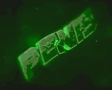 PenisIntro emote