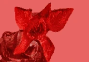 REEE emote