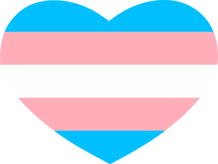 transgenderflagheart emote