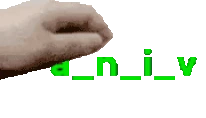 aniv emote