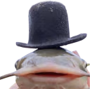 LeCatfish emote