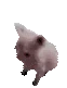 BingusPls emoji