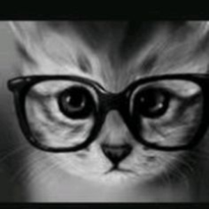dn9n avatar