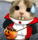 oopsie emote