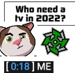 Who_Need_a_TV_in_2022 emote