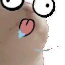 catJAMDERP emoji